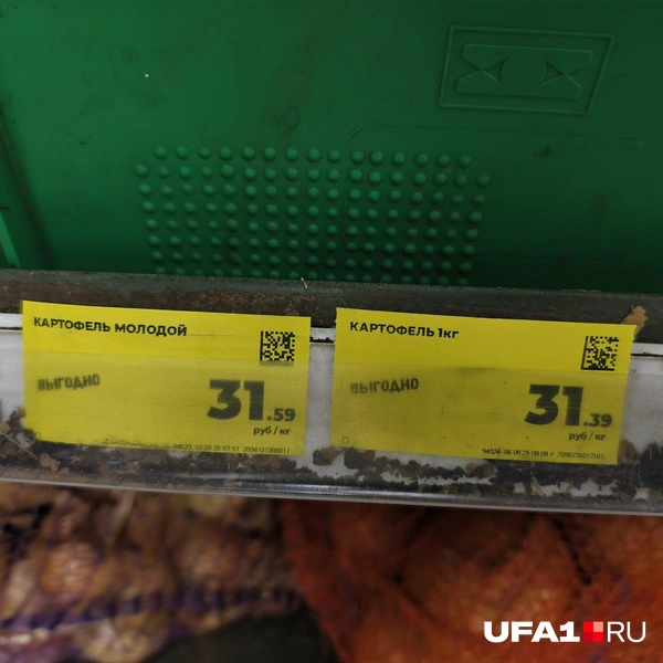 Источник: Булат Салихов / UFA1.RU