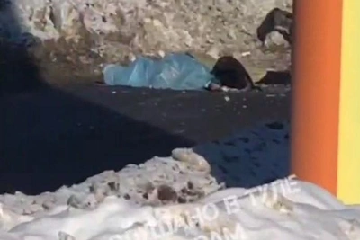 Pedestrian Fatally Struck on Tula's Eastern Bypass