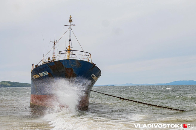 Источник: Елена Буйвол / VLADIVOSTOK1.RU