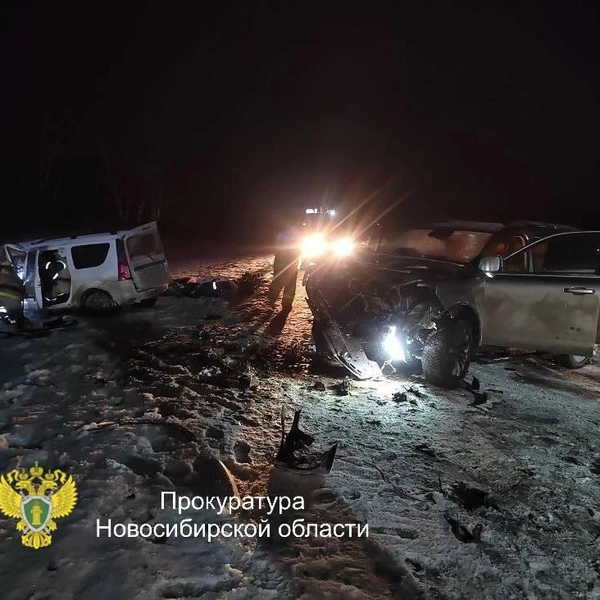 Источник: Прокуратура Новосибирской области / Телеграм