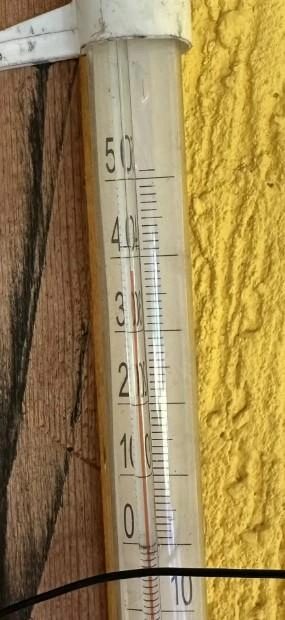 + 38 градусов ДНТ «Юбилейный-1» в Волжском районе | Источник: Вячеслав Лукин
