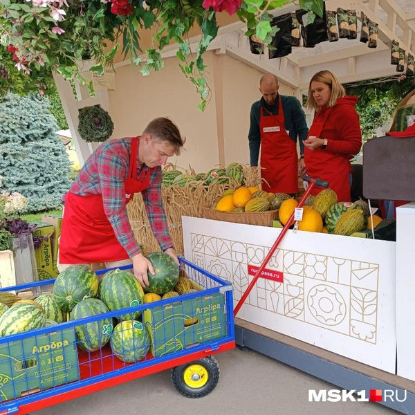 Источник: Анастасия Харитонова / MSK1.RU