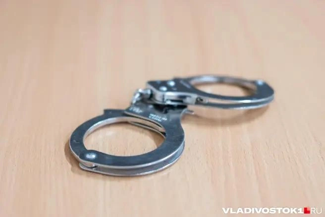 12 суток ареста получила сочинка за публикацию экстремистских материалов в соцсети | Источник: Елена Буйвол / VLADIVOSTOK1.RU