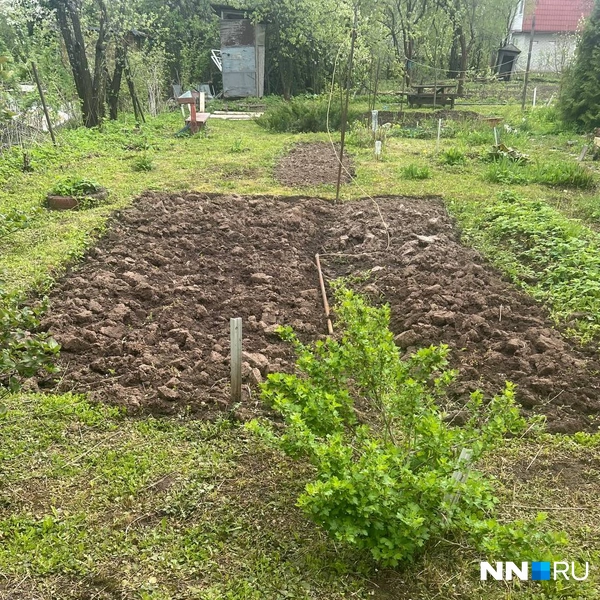 Источник: предоставлено героиней