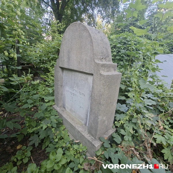 Источник: Алёна Воропаева / Voronezh1.ru