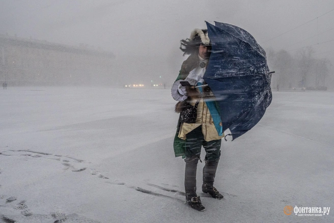 Непогоду прогнозируют на ближайшие два дня | Источник: Михаил Огнев / FONTANKA.RU