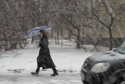 Павловский парк закрыт из-за сильного ветра