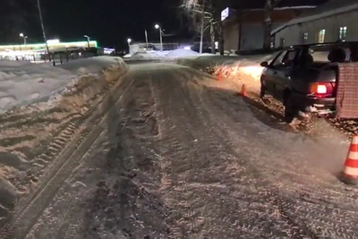 Дедушку и трехлетнего внука сбил автомобиль в Кулебаках