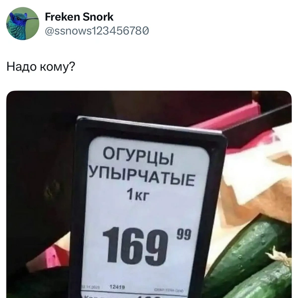 Источник: X (Twitter)