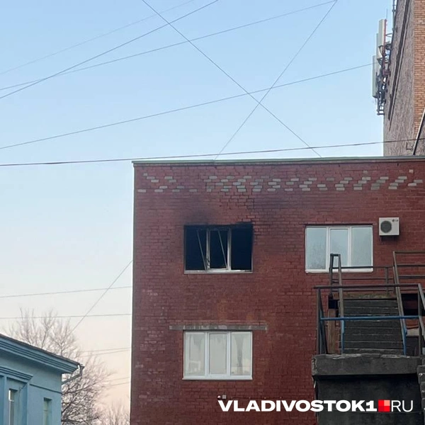 Источник: Елена Буйвол / VLADIVOSTOK1.RU