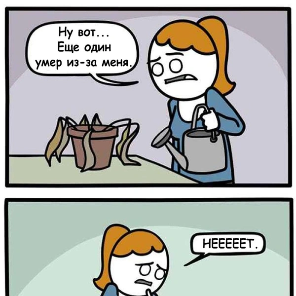 Источник: Ryan Hudson