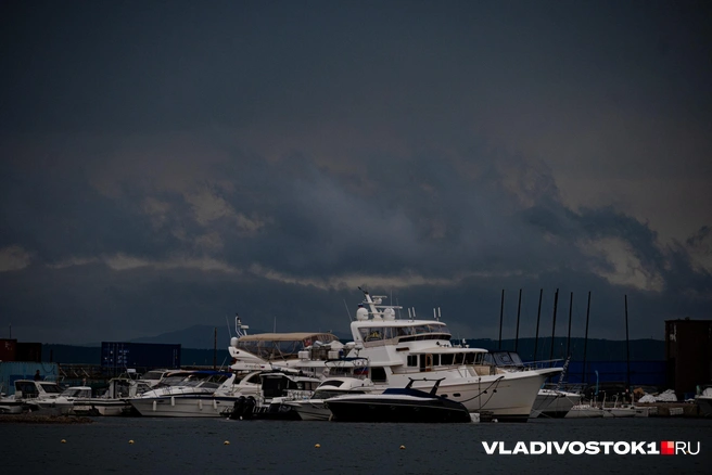 Источник: Елена Буйвол / VLADIVOSTOK1.RU