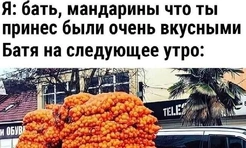 Мемы про батю — лучшие, новые, самые смешные (50+ штук)