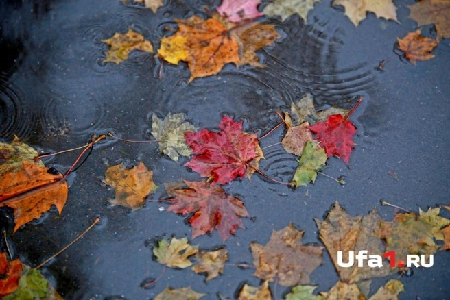 В республике начинает холодать | ufa1.ru