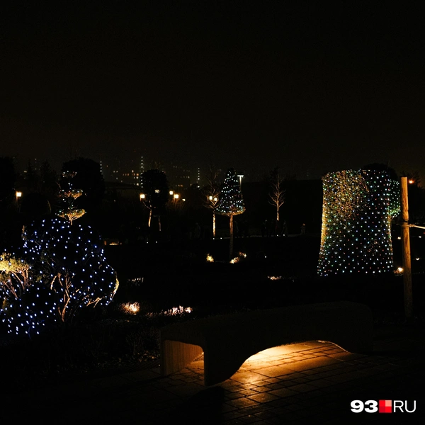 Источник: Дарья Паращенко / 93.RU