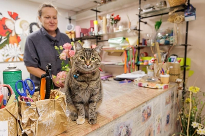 Красноярцы определили лучшие цветочные магазины