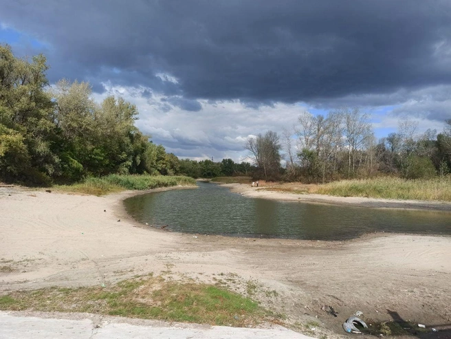 Ерик Верблюд | Источник: читатель V1.RU