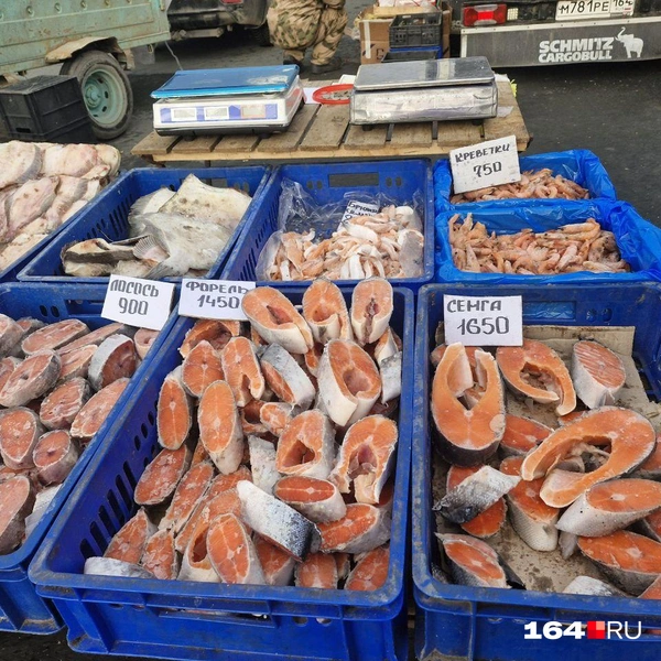 Много рыбы лососевых пород | Источник: Виктория Федорова / 164.RU