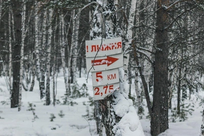 Yekaterinburg Residents Argue About Pedestrians on Ski Tracks