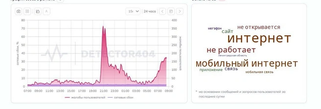 Сервис зарегистрировал 5,8 тысячи жалоб за сутки | Источник: detector404.ru