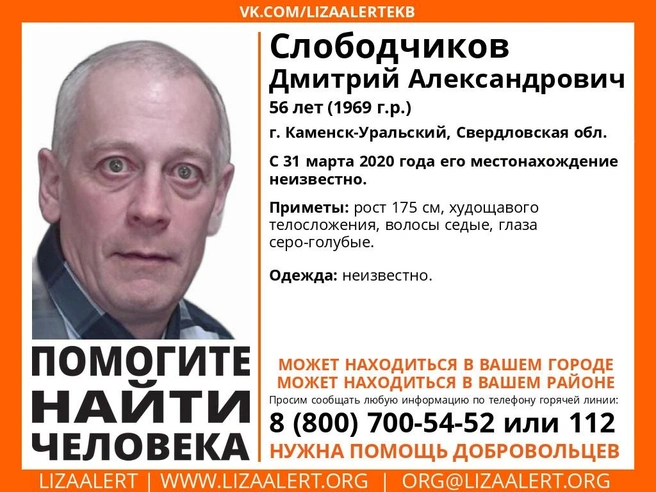 Источник: поисковый отряд «ЛизаАлерт»
