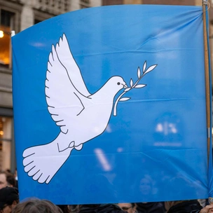Один голливудский актер подписал открытое письмо и в поддержку Израиля, и в поддержку Палестины