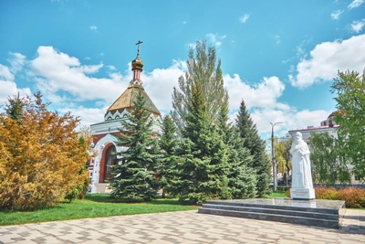 На самарской набережной появятся новые хвойные деревья