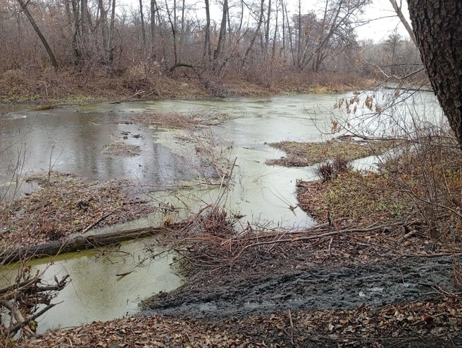 Перед началом ледостава нужно завершить все работы | Источник: Бузулукский бор