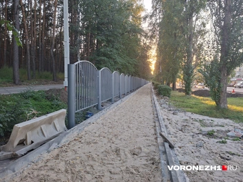 Источник: Алена Воропаева / Voronezh1.ru