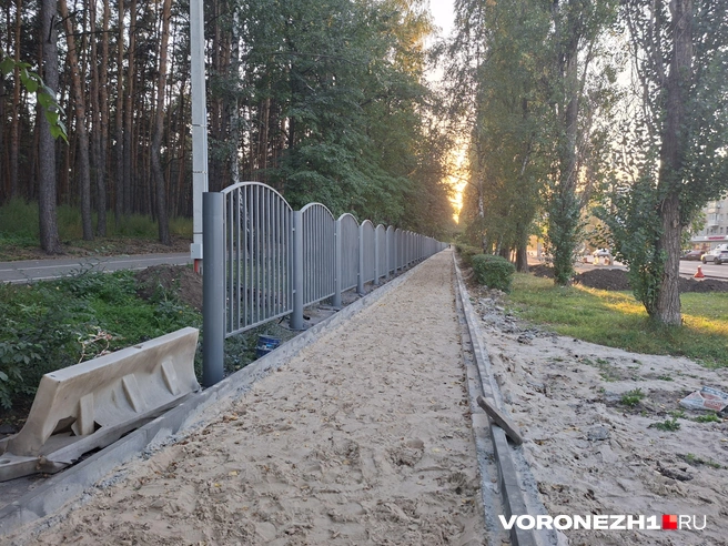 Тот самый забор | Источник: Алёна Воропаева / Voronezh1.ru