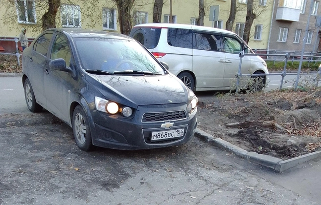 Новосибирцы особенно разъярены, когда дело касается безопасности детей | Источник: Читатель НГС