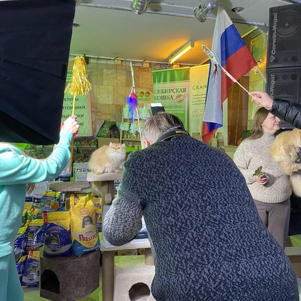 Источник: Ирина Господаренко / NGS22.RU