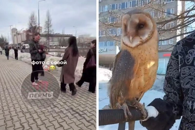 Парни с совами на эспланаде: фотосессии за деньги и споры