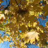 userpic__5656A