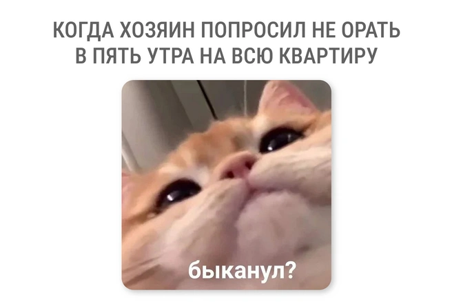 Действительно, какие-то невыполнимые требования | Источник: Мария Романова / Городские медиа