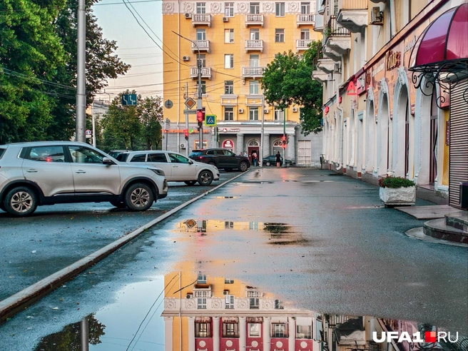 Самое благодатное время для экспериментов | Источник: Булат Салихов / UFA1.RU