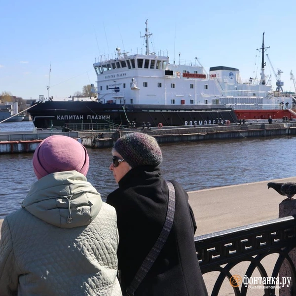Источник: Валентин Егоршин / «Фонтанка.ру»