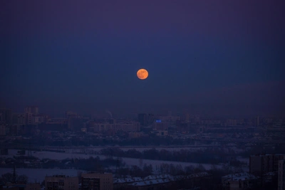 Главные события в Новосибирской области за 11 марта