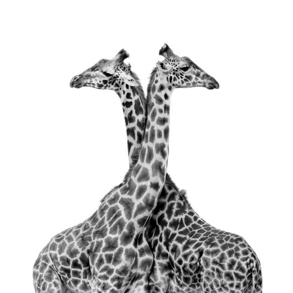 Источник: Andy Lerner / Exposure One Awards 2025