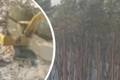 Ufa residents protest forest clearing for residential development