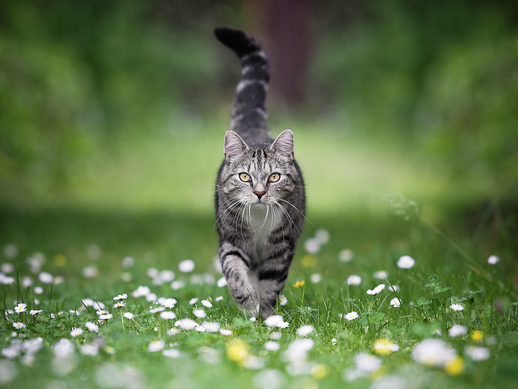 ISTOCK