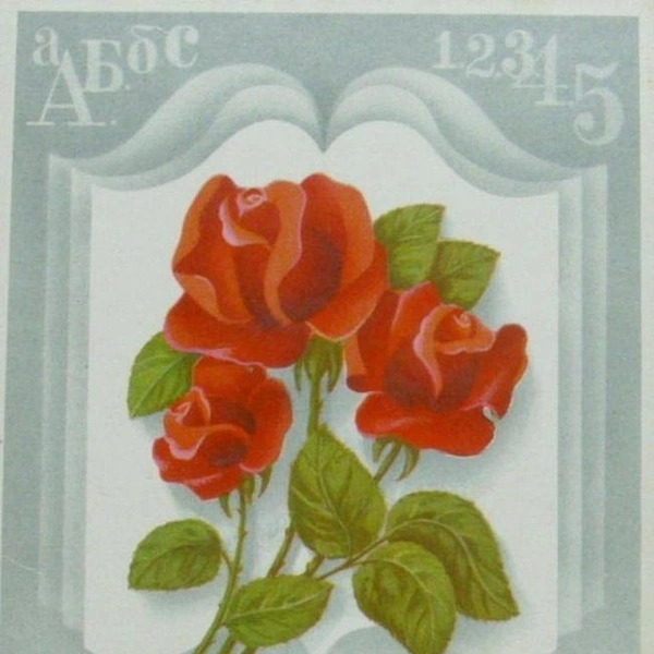 Источник: соцсети