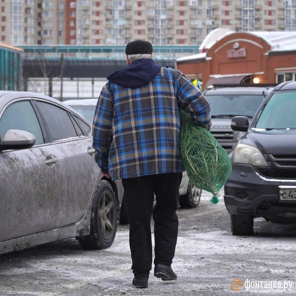 Источник: Павел Даиси / FONTANKA.RU