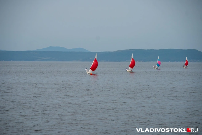 Источник: Елена Буйвол / VLADIVOSTOK1.RU