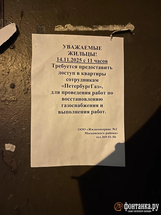 Источник: читатель «Фонтанки»