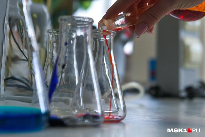 Фото заставочное | Источник: Артем Устюжанин / MSK1.RU