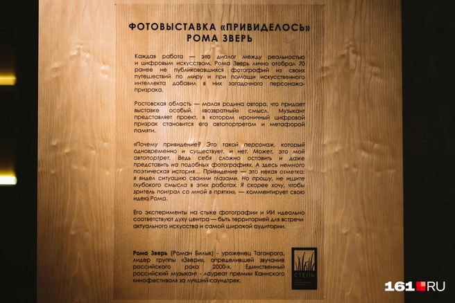 Источник: Евгений Вдовин / 161.RU