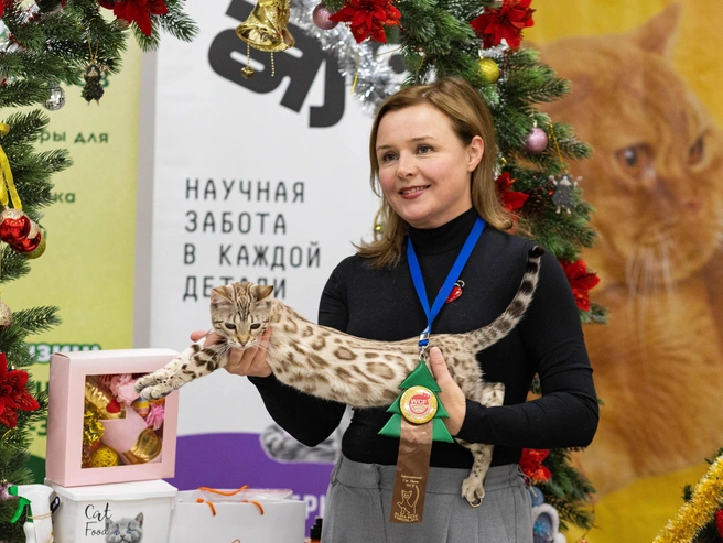 Награды с выставки повышают ценность питомца для племенного разведения. | Источник: Артём Бауман / 76.RU