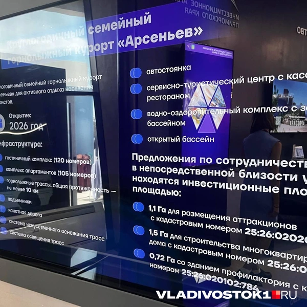 Источник: Алиса Князева / VLADIVOSTOK1.RU