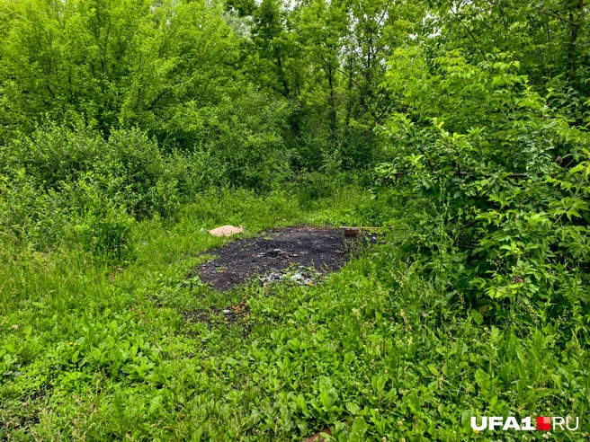 Таких полянок со следами от костра вокруг полно | Источник: Булат Салихов / UFA1.RU
